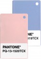 PANTONE 彩通新版彩通塑膠標準色片